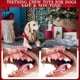 thumbnail image 5 of Set de juguetes para perros EXPAWLORER, 15 unidades, para la dentición de todas las razas, 5 of 7