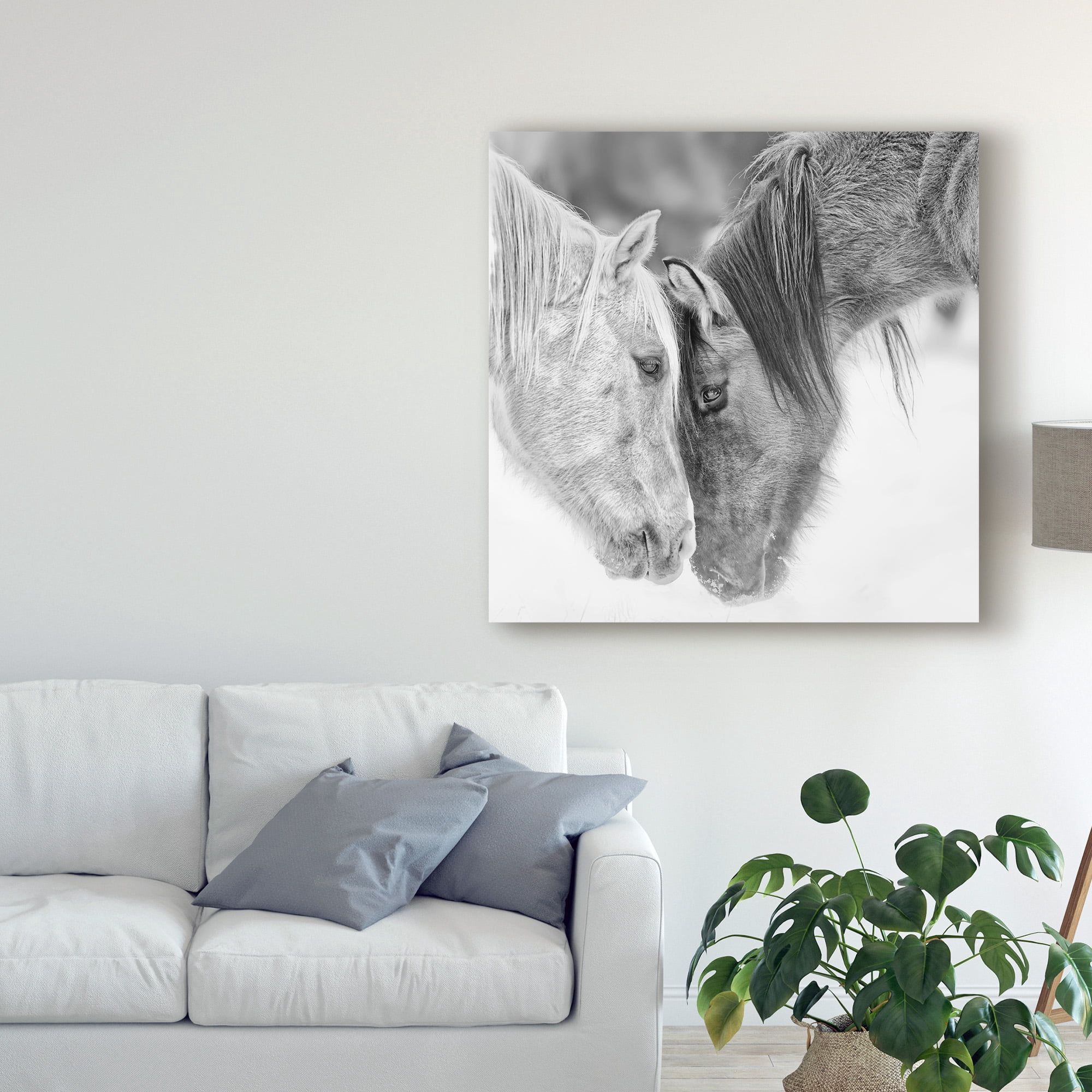 Phburchett 'Black And White Horses Vii' Canvas Art