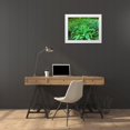 thumbnail image 3 of Grayscale 14x12 White Modern Wood Framed Museum Art Print Titled - Forest Ferns I, 3 of 4