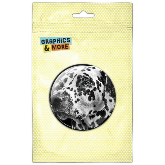 Handsome Dalmatian Pinback Button Pin Badge
