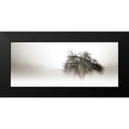 thumbnail image 2 of Hausenflock, Alan 14x8 Black Modern Framed Museum Art Print Titled - In the Mist I, 2 of 5