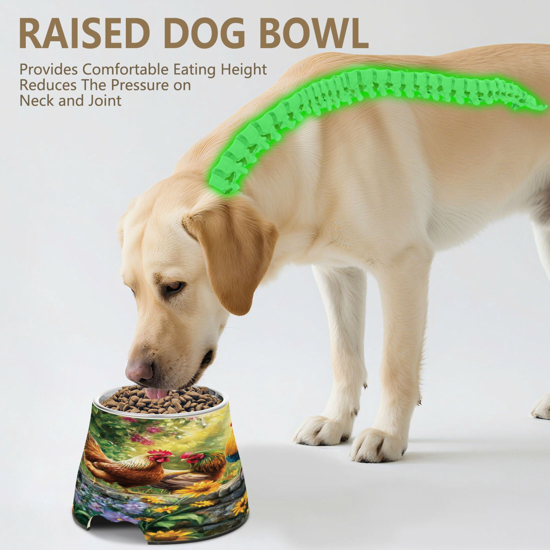 Raised Pet Bowl with Removable Stainless Steel Insert Anti-Slip No-Tip Dog Bowl for Small to Medium Pets Beautiful Rooster