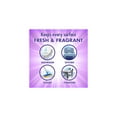 thumbnail image 2 of Fabuloso All-Purpose Cleaner Liquid Lavender Scent (Pack of 2), 2 of 4