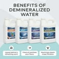 thumbnail image 4 of STEAM AND GO Demineralized Water and Multi-Surface Floor Cleaner Solution for Steam Mops, 32 fl oz, 4-Pack, 4 of 9