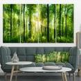 thumbnail image 3 of Designart 'Forest with Rays of Sun Panorama ' Landscape Art Print Canvas, 3 of 3