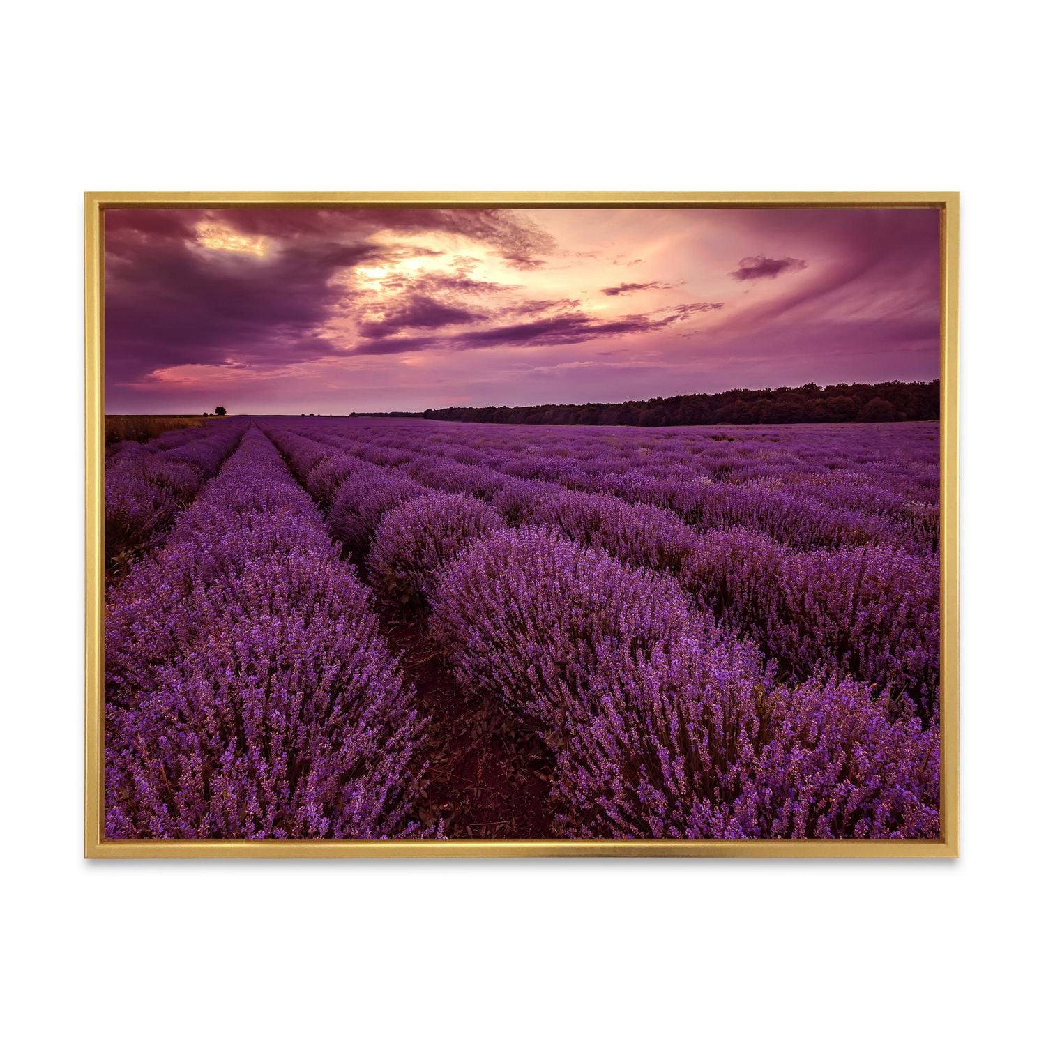 Designart Lever du soleil et nuages ​​dramatiques sur le champ de lavande III ART MURAL À CADRE FLOTTÉ