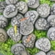 thumbnail image 4 of Piedras decorativas de resina Marrón claro Manchas blancas multicolor | 20 piezas | Pavimento hortícola para jardineras de suculentas, jardinería en patios, terrarios, piedras de acento para, 4 of 9