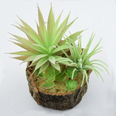 Realistic Succulents Plant In 4 25 Tree Trunk Pot Table