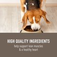 thumbnail image 4 of Simply Nourish® Nourriture Sèche Originale pour Chiens Adultes - Poulet et Riz Brun, 4 of 4