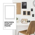 thumbnail image 4 of HLONK Double-sided Specimen Display Frame Glass Dried Flower Holder Frame Picture Frame, 4 of 6