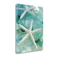 thumbnail image 2 of Tangletown Fine Art Seaglass 1 by Alan Blaustein Poster Frame - 21 x 16 x 1.5 in., 2 of 2