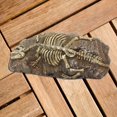 thumbnail image 1 of Resin Rock Aquarium Dinosaur Dragonfly Fossil Ornament Decor for Fish Tank Workhe, 1 of 1