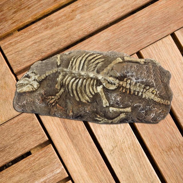 Resin Rock Aquarium Dinosaur Dragonfly Fossil Ornament Decor for Fish Tank Workhe
