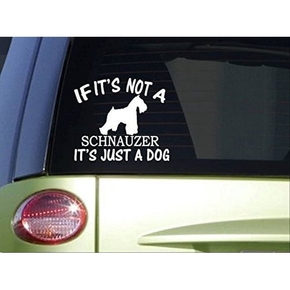 If it's not a Schnauzer *I719* 6x6 inch Sticker dog decal