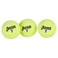 Penn Championship Tennis Balls Extra Duty Felt for Hard Court 24