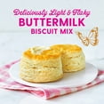 2X Duncan Hines Dolly Parton's Buttermilk Biscuit Mix 16 oz