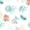 Coral Reef