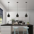 thumbnail image 2 of 49016-68 Livex Lighting Andes - 1 Light Mini Pendant In Urban Style-19.5 Inches Tall and 7.75 Inches Wide-Shiny Black/Polished Brass Finish, 2 of 12