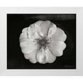thumbnail image 3 of Vitaly Geyman 32x26 White Modern Wood Framed Wall Art Titled - Classic Beauty, 3 of 5