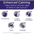 thumbnail image 2 of FELIWAY Optimum, Enhanced Calming Pheromone 30-Day Refill – 2 Pack, 2 of 6