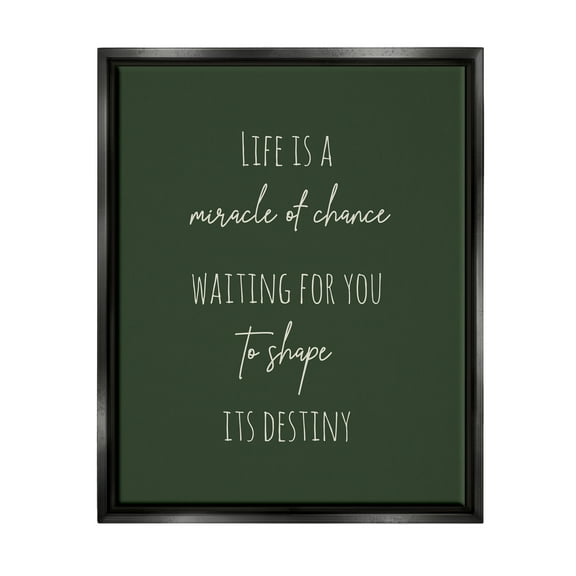 Stupell Industries Shape Life's Destiny Phrase Inspirational Painting Black Floater Framed Canvas Art Print Wall Art, 17 x 21