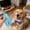 Blue, variant on Emulsion Squeaky Chicken Dog Toys Funny Latex Screaming Interactive Pet Squawkers Cute Dog Gifts for Aggressive Chewers Birthday Gifts for Small Medium Large Pet(9 ", Blue Dot)