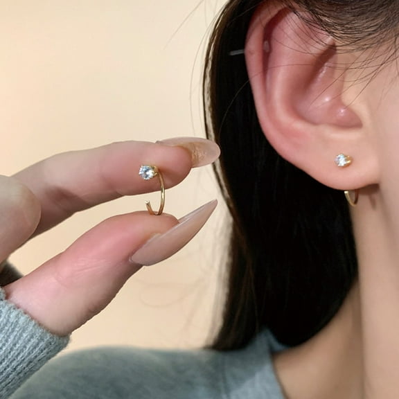 Zircon Earhook Earrings Dazzling Elegant & Sparkling Accessory