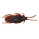 thumbnail image 2 of Zriyin Broma Cucarachas Broma Cucaracha Divertida Broma Cucarachas Falsas Juguete Truco, 5 piezas, 2 of 8