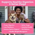 thumbnail image 4 of Probióticos para mascotas Wholistic Pet Organics Digest-All Plus 227 g, 4 of 9