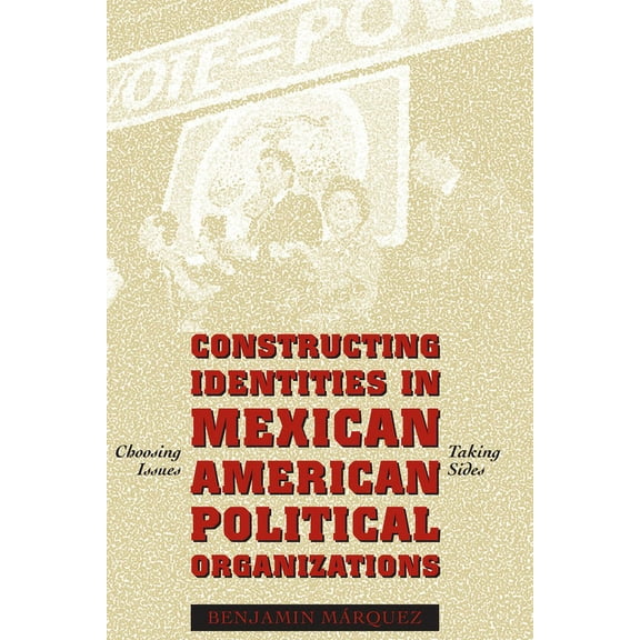Constructing Identities in Mexican-American Political Organizations: Choosing Issues, Taking Sides, (Paperback)