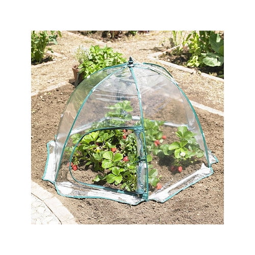 Zenport 3.5 Ft. W x 3.5 Ft. D Mini Greenhouse by Zenport Industries