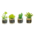 thumbnail image 4 of Plantas de Simulación a Escala 1:12 CUTICAT para Casa de Muñecas Estilo B, 4 of 8