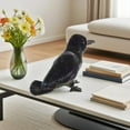 thumbnail image 4 of Cute Creative Crow Plush Dolls Classic Shape Add Natural Atmosphere To Home Decoration, High-Quality Pp Cotton 10.2 Inches Size, Perfect Gift For Birthdays Parties Daily Use, 4 of 6