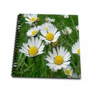 3dRose Daisy - Mini Notepad, 4 by 4-inch