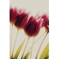 thumbnail image 2 of Philippin-Lipscomb, Rosalinde 13x18 Gold Ornate Wood Framed with Double Matting Museum Art Print Titled - Tulips, 2 of 4
