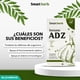 thumbnail image 5 of Smart Herb Paquete Inmune ADZ, Suplemento Alimenticio, 2 Piezas (30 Cápsulas c/u) con Ajo, Vitamina D3 y Zinc para Fortalecer el Sistema Inmunológico, 5 of 9