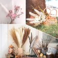 thumbnail image 4 of Ramo de Decoración de Hierba de Pampas de Flores Secas para Hogar de Mesa, 4 of 6