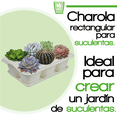 thumbnail image 2 of Kit 2 Charola moderna rectangular para suculentas Smar Garden  Blanco, 2 of 6