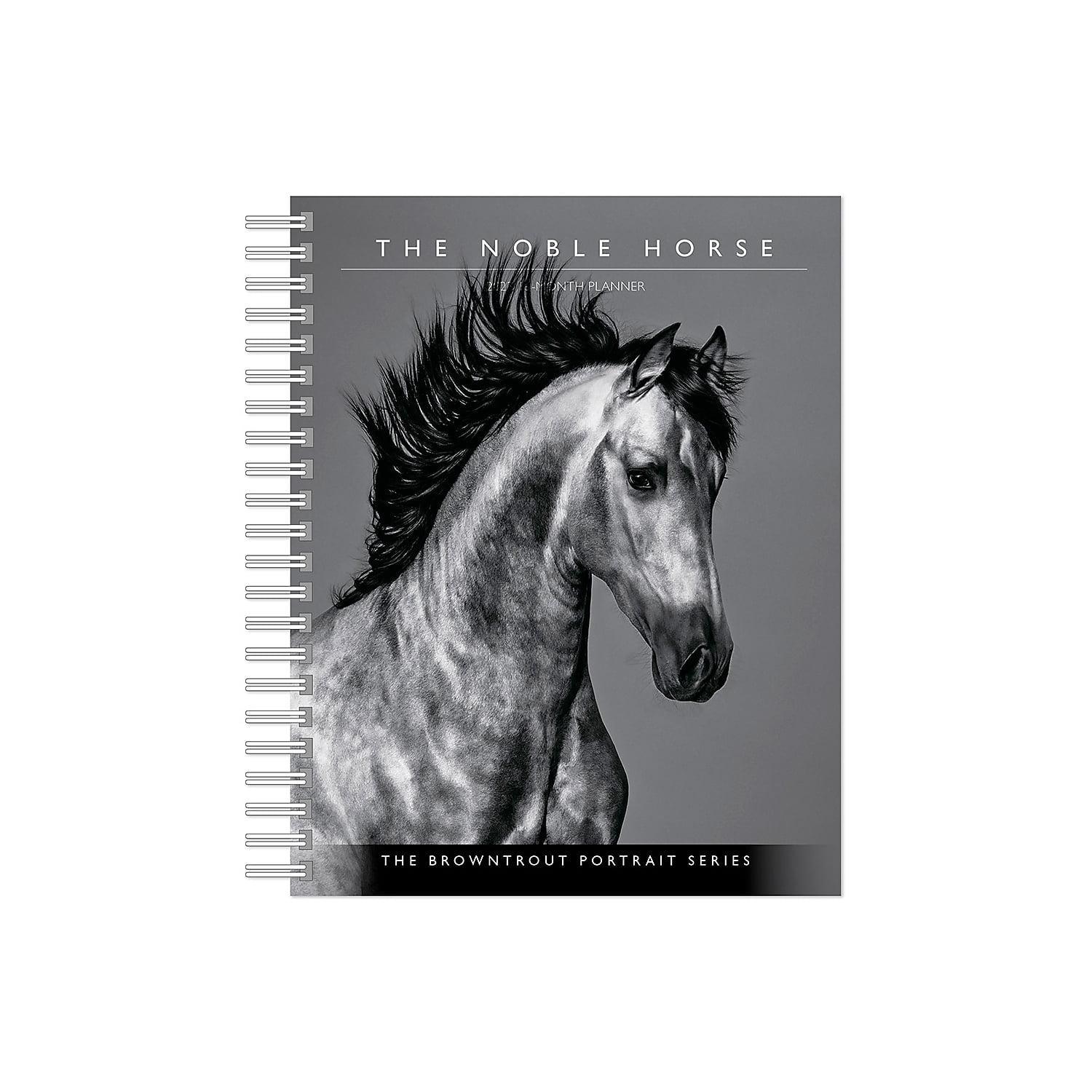 2023 BrownTrout The BrownTrout Portrait Series: The Noble Horse 6'' x 7.75'' Weekly Engagement