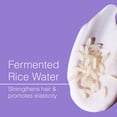 thumbnail image 5 of Function of Beauty Custom Wavy Hair Shampoo Base with Fermented Rice Water 11 fl oz, 5 of 10