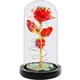 thumbnail image 1 of Rosa Artificial Fvawe Galaxia con Luz en Cúpula de Cristal, 1 of 7