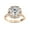 Rose Gold, variant on Floral Halo Solitaire Engagement Wedding Rings for Women Center 9MM Cushion and Round Lab Created Moissanite Ring Jewelry Gift for Her In 10K Solid Rose Gold Size 10
