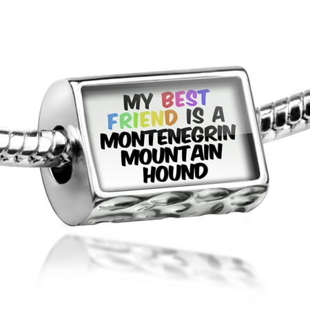 Bead My best Friend a Montenegrin Mountain Hound Dog from Montenegro Charm Fits All European (Best All Mountain Skis For Juniors)
