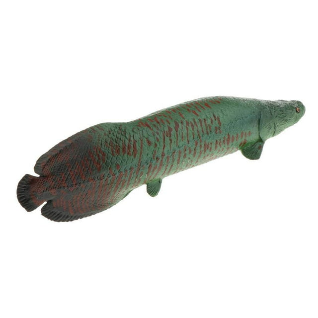 Langgg Realistic Static Ocean Animal Model Toy Kids Gift Pirarucu