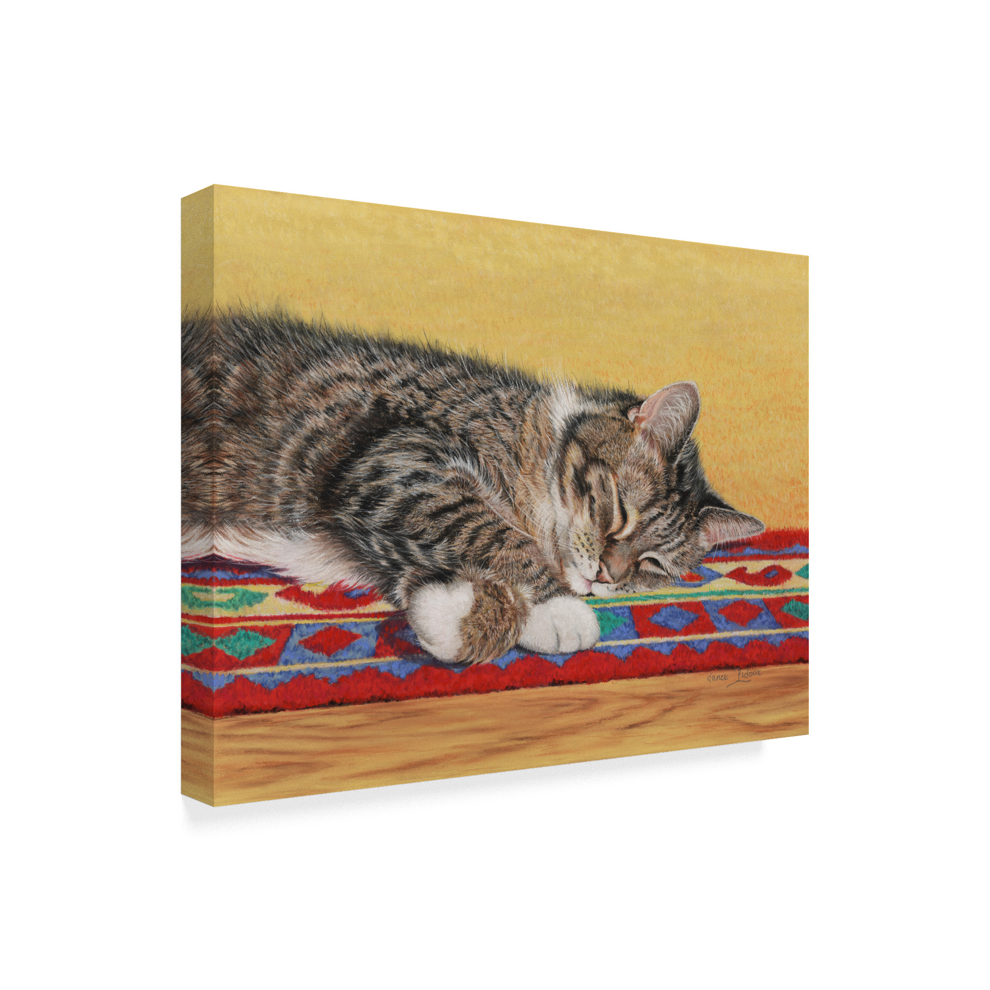 Trademark Fine Art 'Sleepy Sam' Canvas Art by Janet Pidoux