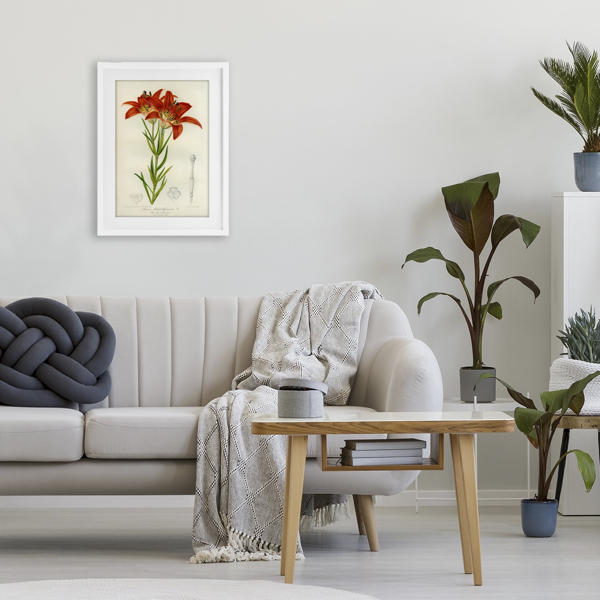 Stupell Industries Western Red Lily White Framed Print Under Glass, design by Print Collection