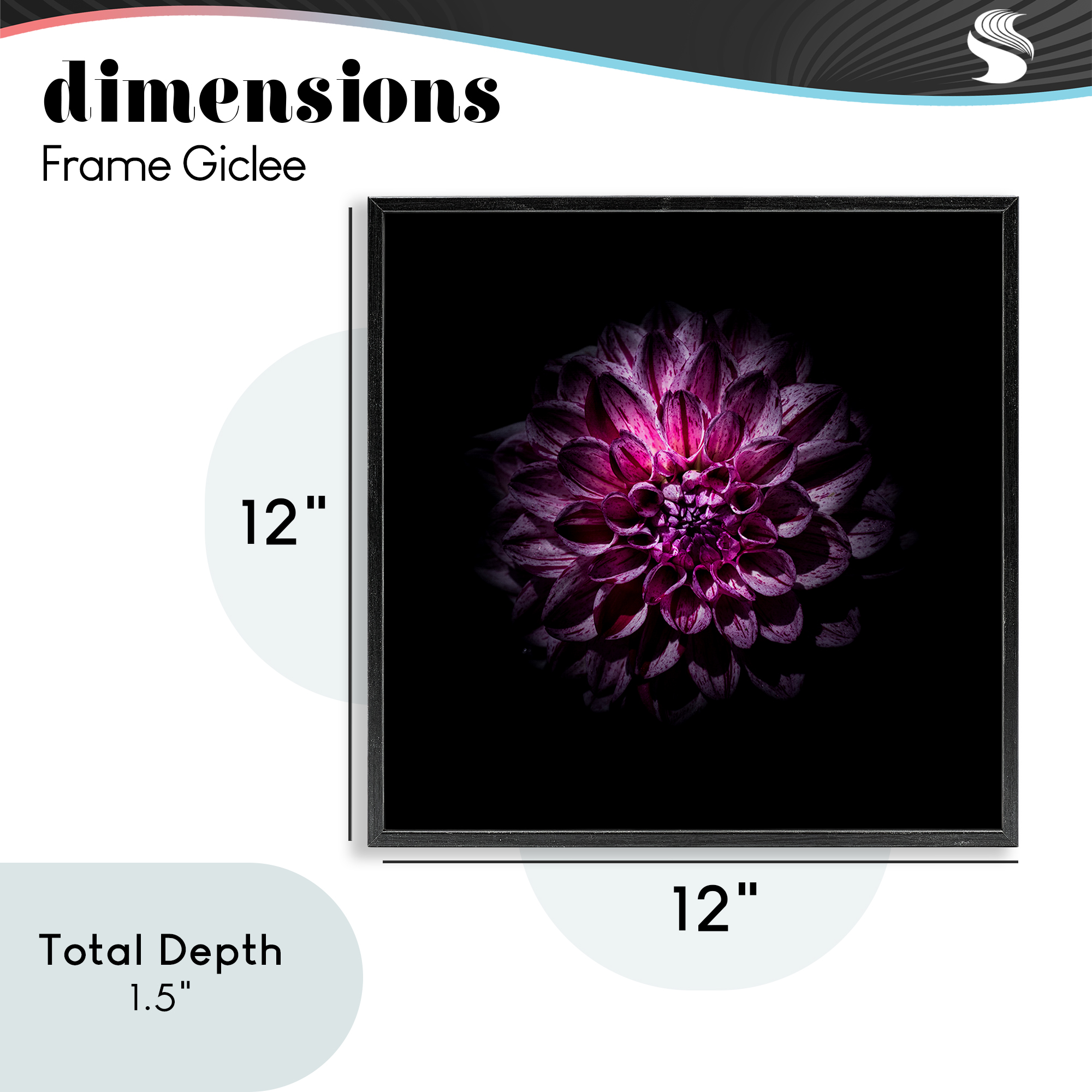 Purple Dahlia Dark Contemporary Black Framed Giclee Art, design by Brian Carson Photography
