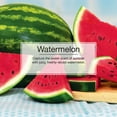 thumbnail image 3 of LITTLE TREES air freshener Watermelon 3-Pack, 3 of 8