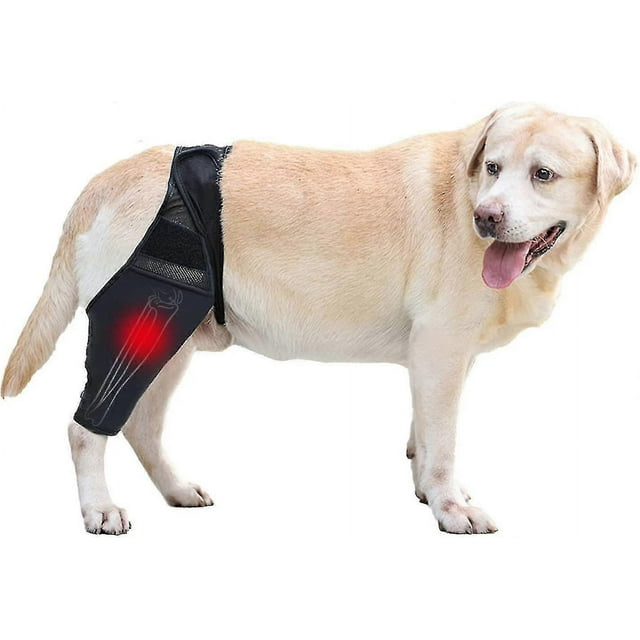 Rodillera para perros, férulas para perros y soporte de cadera para lesiones de ligamento cruzado, ligamento cruzado anterior, dislocación de rótula u osteoartritis.