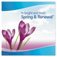 thumbnail image 4 of Febreze Odor-Eliminating Fabric Refresher, Spring & Renewal, 27 fl oz, 4 of 9